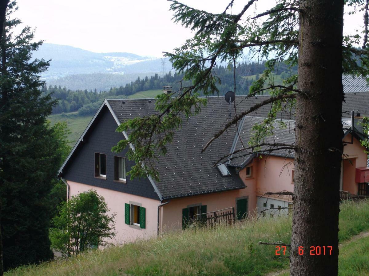 Hotel Les ô welches côté lac Orbey Exterior foto